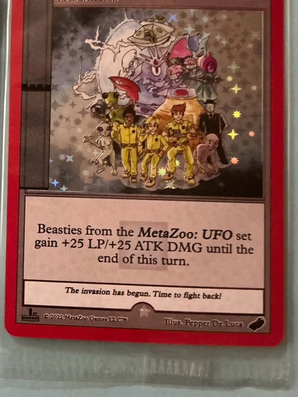 Meta Zoo 2021 this looked